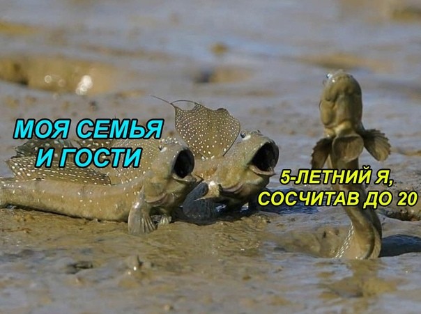 Картинки для деградации 273 (разной степени свежести)