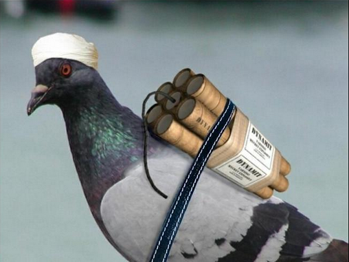 Покупатель забыл АКС-74У в камере хранения ИКЕИ