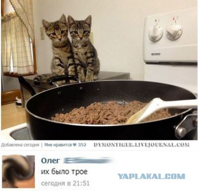 Очередная подборка смешных высказываний