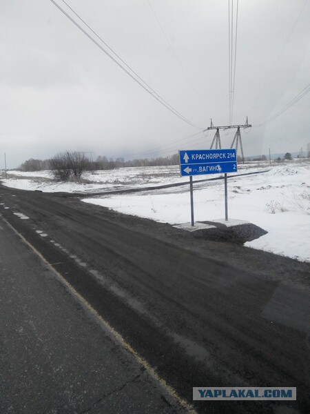 Озеленение Владивостока.