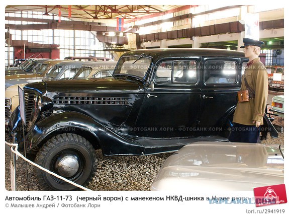 Черный волк