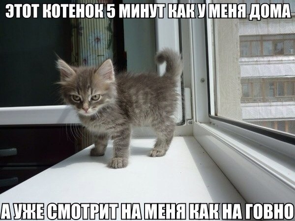 Не знаю, как назвать. Из соцсетей