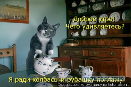 Картинки из интернетов