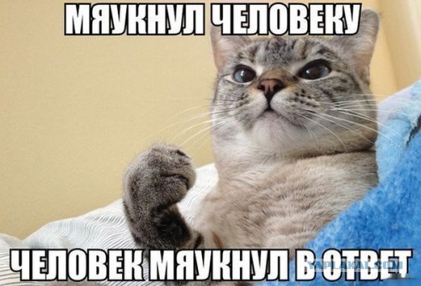 Давно демотиваторов не было