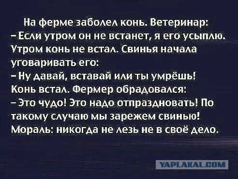 Немного юмора