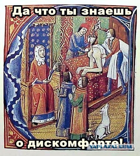 Средневековое веселье