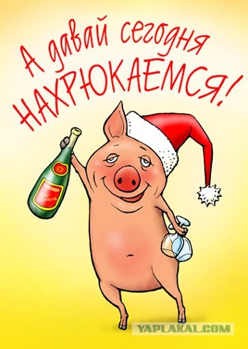 Пятница мчится на всех парах!