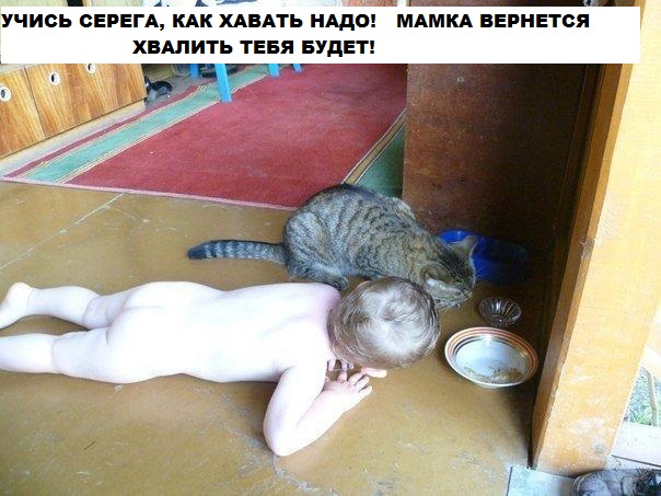 Обидели котейку? Получите, распишитесь!