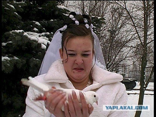 Ураа! Замуж!