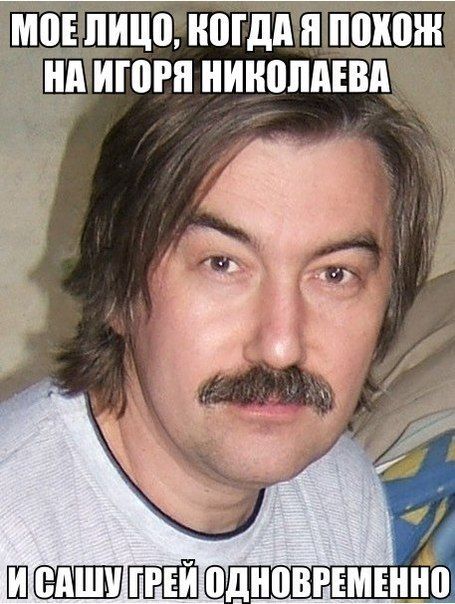 Веселости