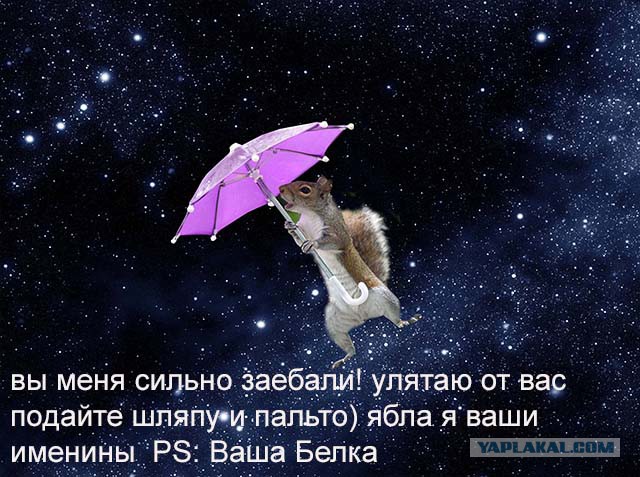 Фотожаба "У природы нет плохой погоды"