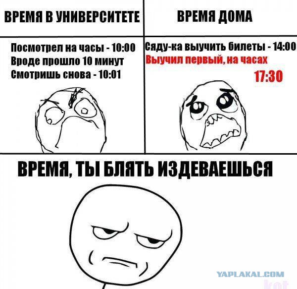 41 веселая картинка