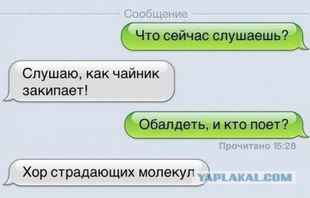 Смешные комментарии из социальных сетей