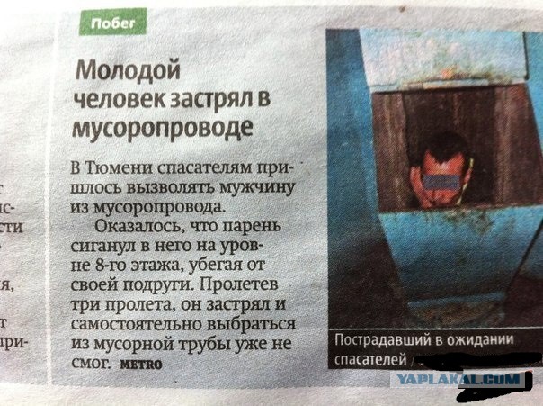 Коты любят коробки