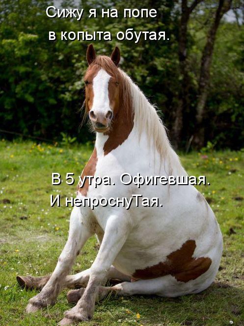 Когда кто-то плюсует твой заминусованый пост