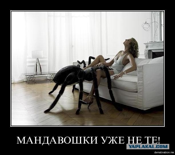 Ядрёна вошь