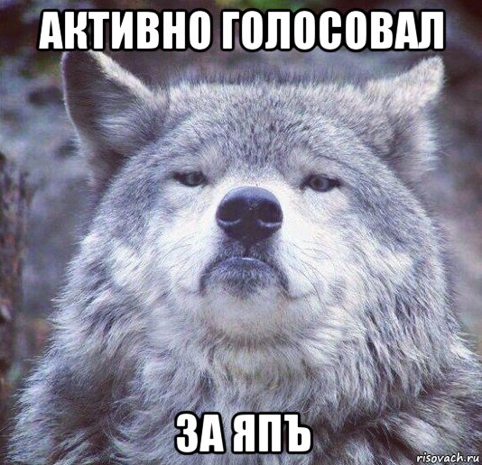 ЯП получил Премию Рунета 2015