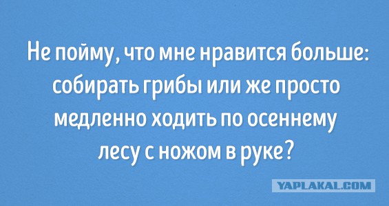 Приколы из сети