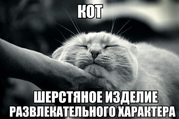Картинки и демотиваторы