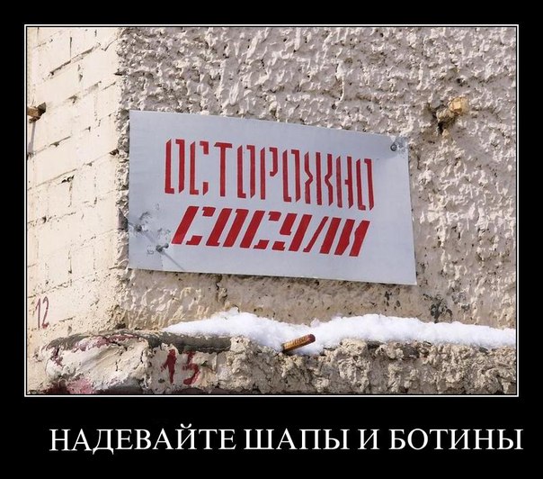 Забавные картинки из Сети
