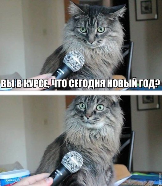 Разные картинки