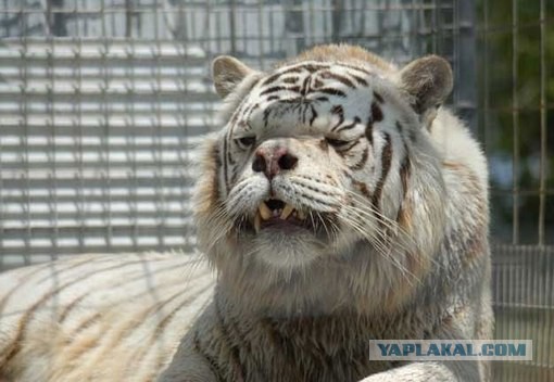 Вопрос на логику