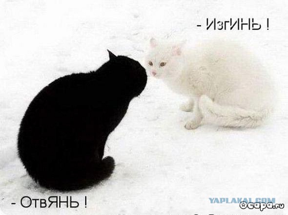 То, что улыбнуло в 2015