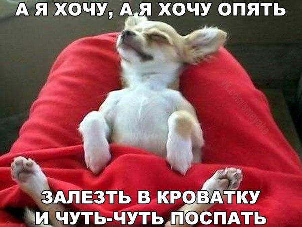 Подборка забавных картинок