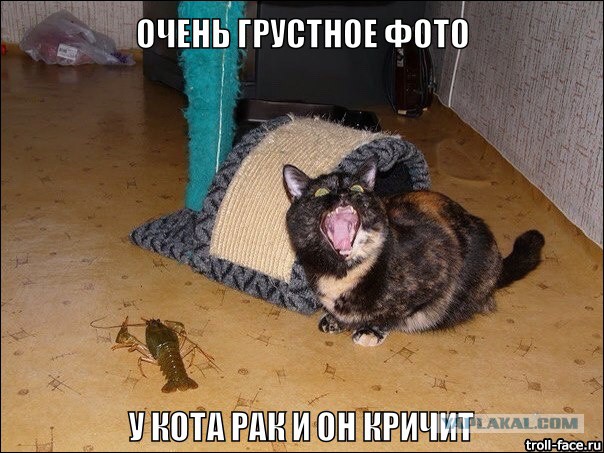 Абсурдный юмор ч.9