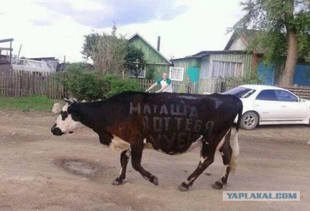 Подборка картинок