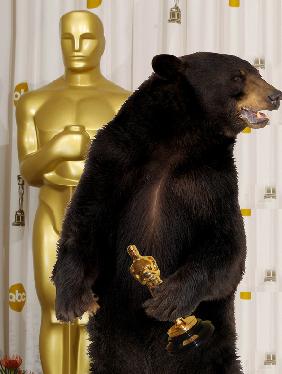 Самые яркие моменты  и платья  «Оскар 2016»