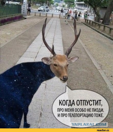 Dead Hand (Мультфильм который я рисовал 2 года, Крепость 2)