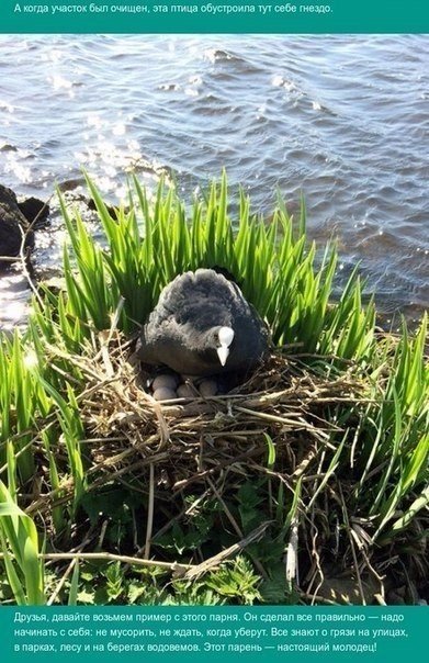 Подборка картинок из сети