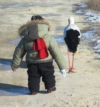 Мохнатые беспредельщики