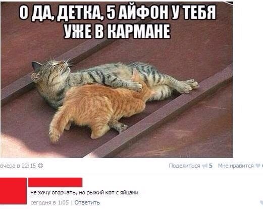Картинки с инета про это