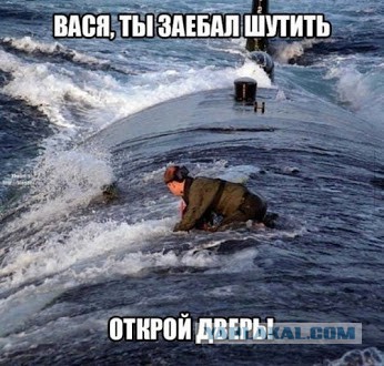 Жителям Австралии стоит устанавливать в доме прочные стекла