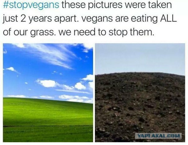 Реально ли похудеть на 20 кг за 2 месяца?