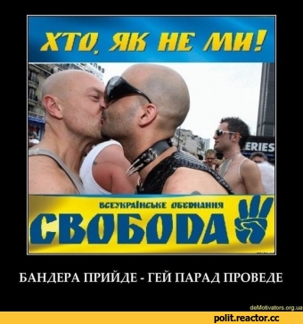Толерантные укрогеи или хохлопидры...