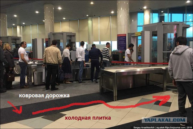 И снова жесть с досмотром в аэропорту Домодедово