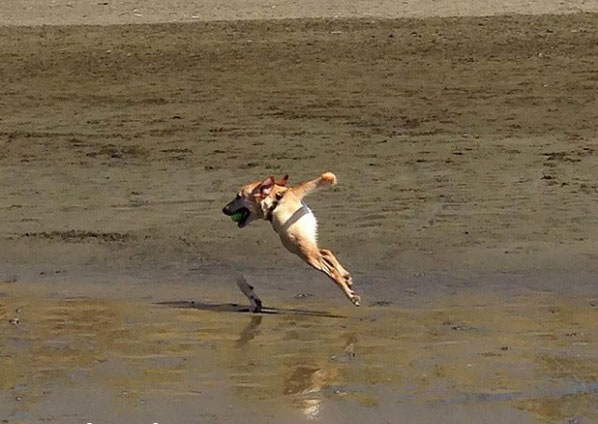 Мастера панорамного фото