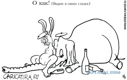 Мощная доза деградации на выходные