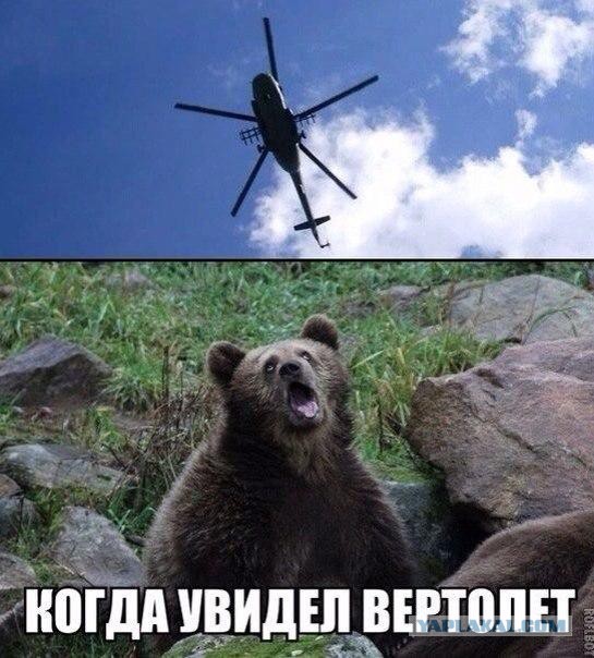 Подборка картинок