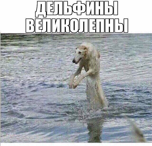 Приколы в стиле деградация