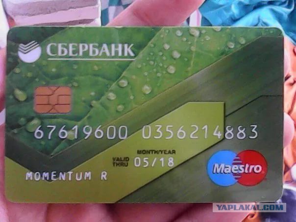 Карта Маэстро Фото