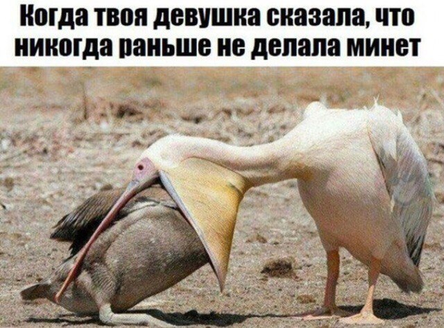 Приколюхи в стиле "Когда..."