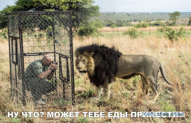 Нестандартный юмор