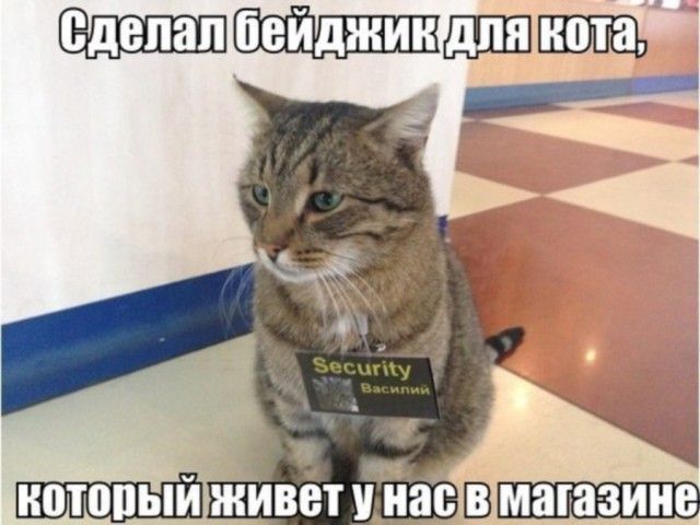 Немного милоты