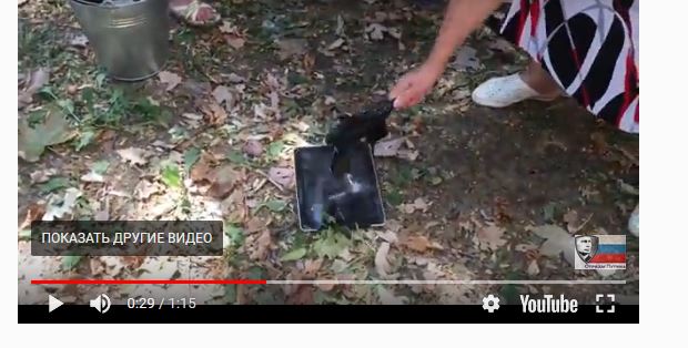 Ответ Путинских бабок на санкции США