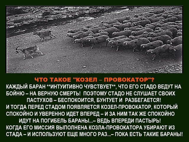 Митинг в Москве 5 ноября против повышения пенсионного возраста. Мнение участника