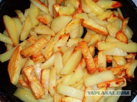 Некоторые национальные блюда жителей Севера